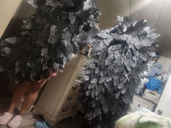 Angel wings for photo shoot