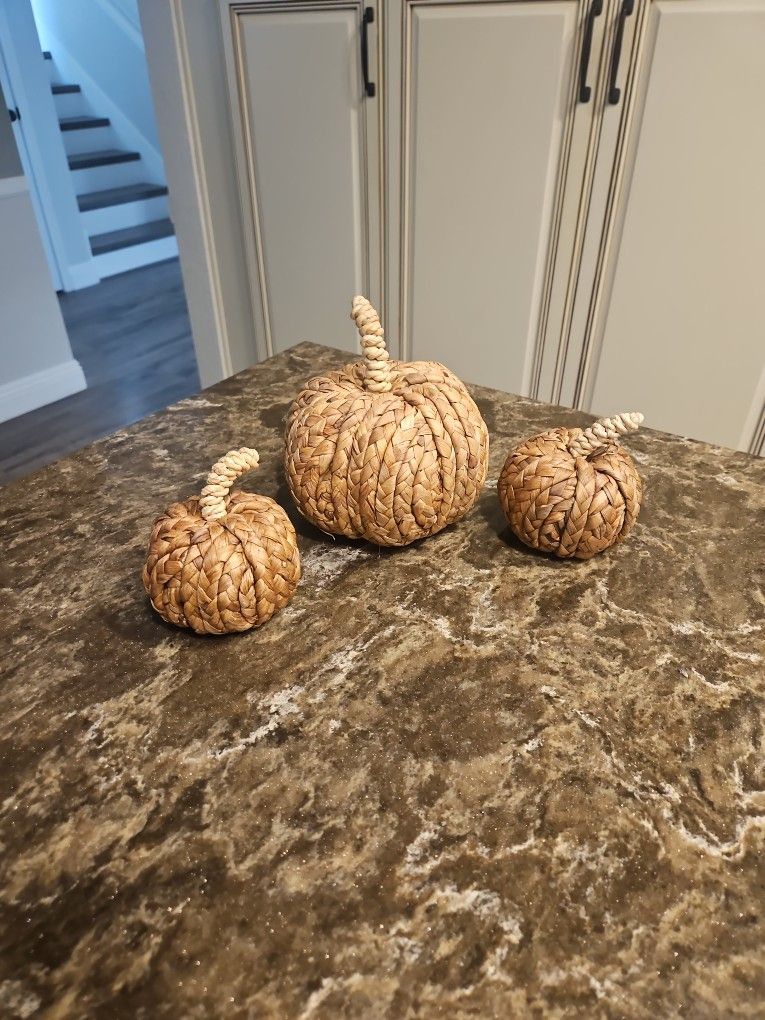 Decorative Pumpkins