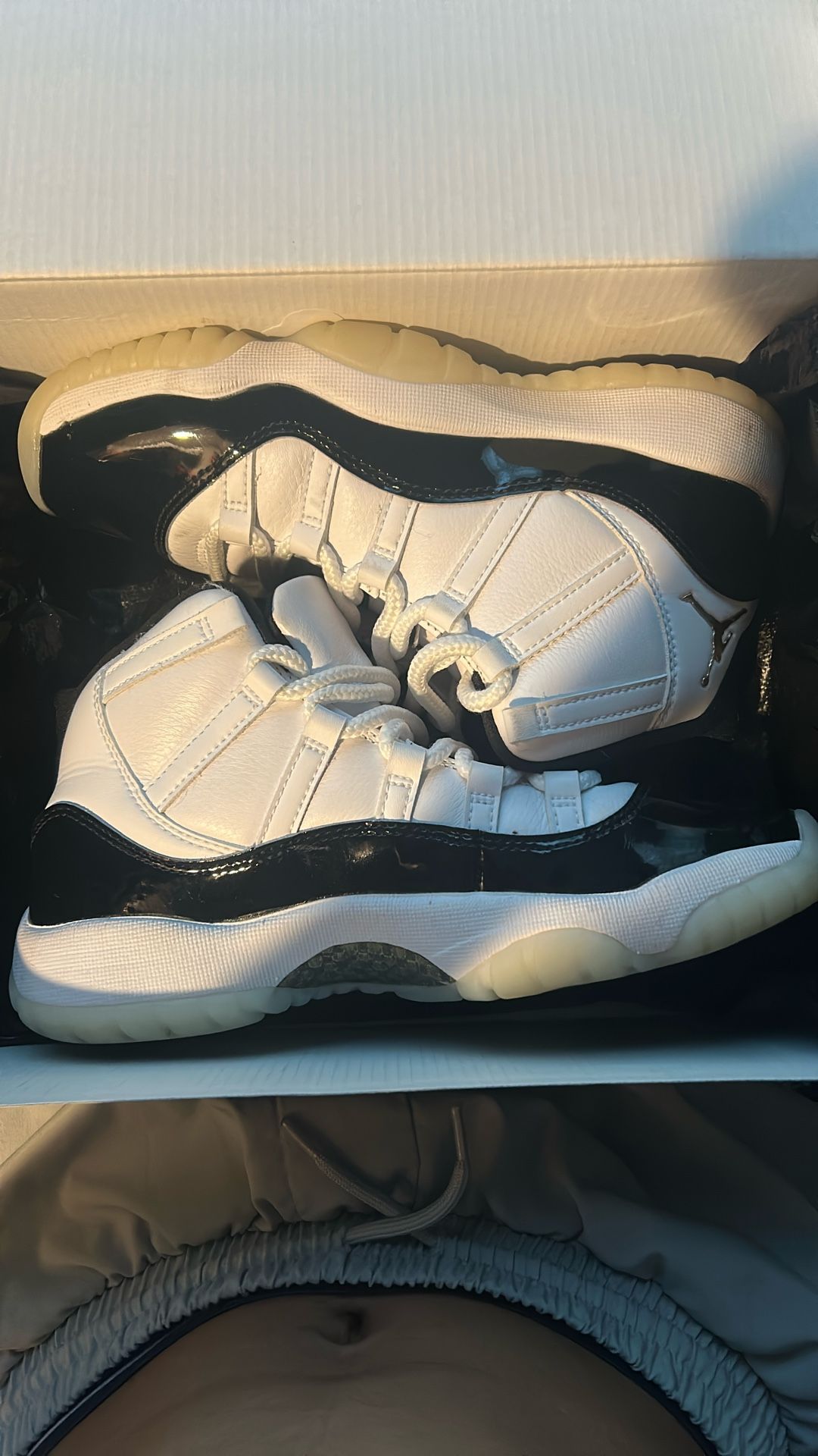 Jordan 11 Dmp