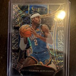 Elephant Print Prizm 