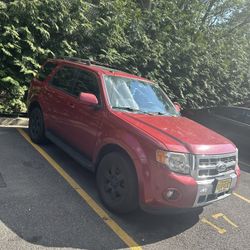 2010 Ford Escape