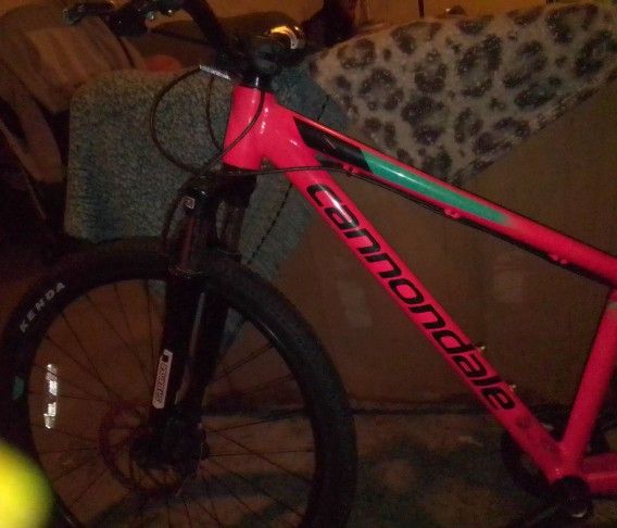 Cannondale Trail Bike