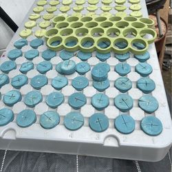 Clone for plants