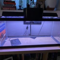 30 Gallon Tank