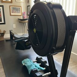 Concept2 RowErg Rowing Machine