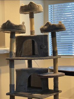 Cat Scratcher