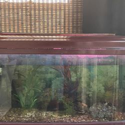 50 Gallon Fish Tank , Stand , And Pump