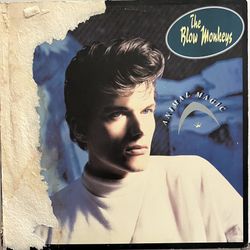 The Blow Monkeys - Animal Magic 