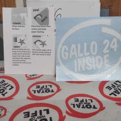 Gallo 24 Inside Paul Walker Decal Fast And Furious Inspired Blue And White 