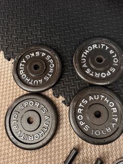 Weight plates and curl bar