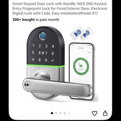Smart Keypad Door Lock with Handle: NICE DIGI Keyless Entry Fingerprint Loc (SR)
