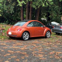 2010 Volkswagen Beetle
