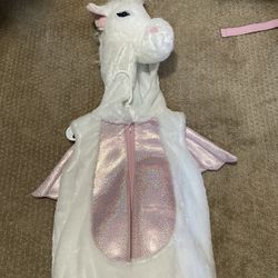 Girl unicorn costume (4T)