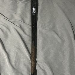 Baum Bat 
