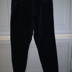 Women's Well Worn Pants 