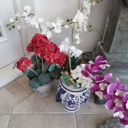 Lots Beautiful Decor Plants With Beautiful Pots  In Weeki Wachee Spring Hill