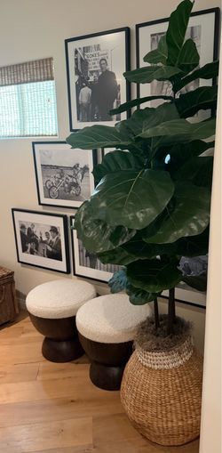 Artificial Fiddle Leaf Fig Tree in Woven Basket