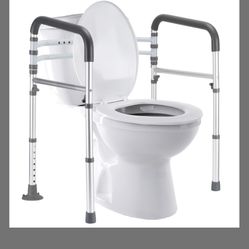 Toilet Safety Rails