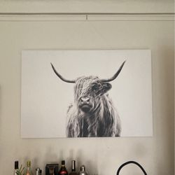 Massive Canvas Wall Art  48”x32” 