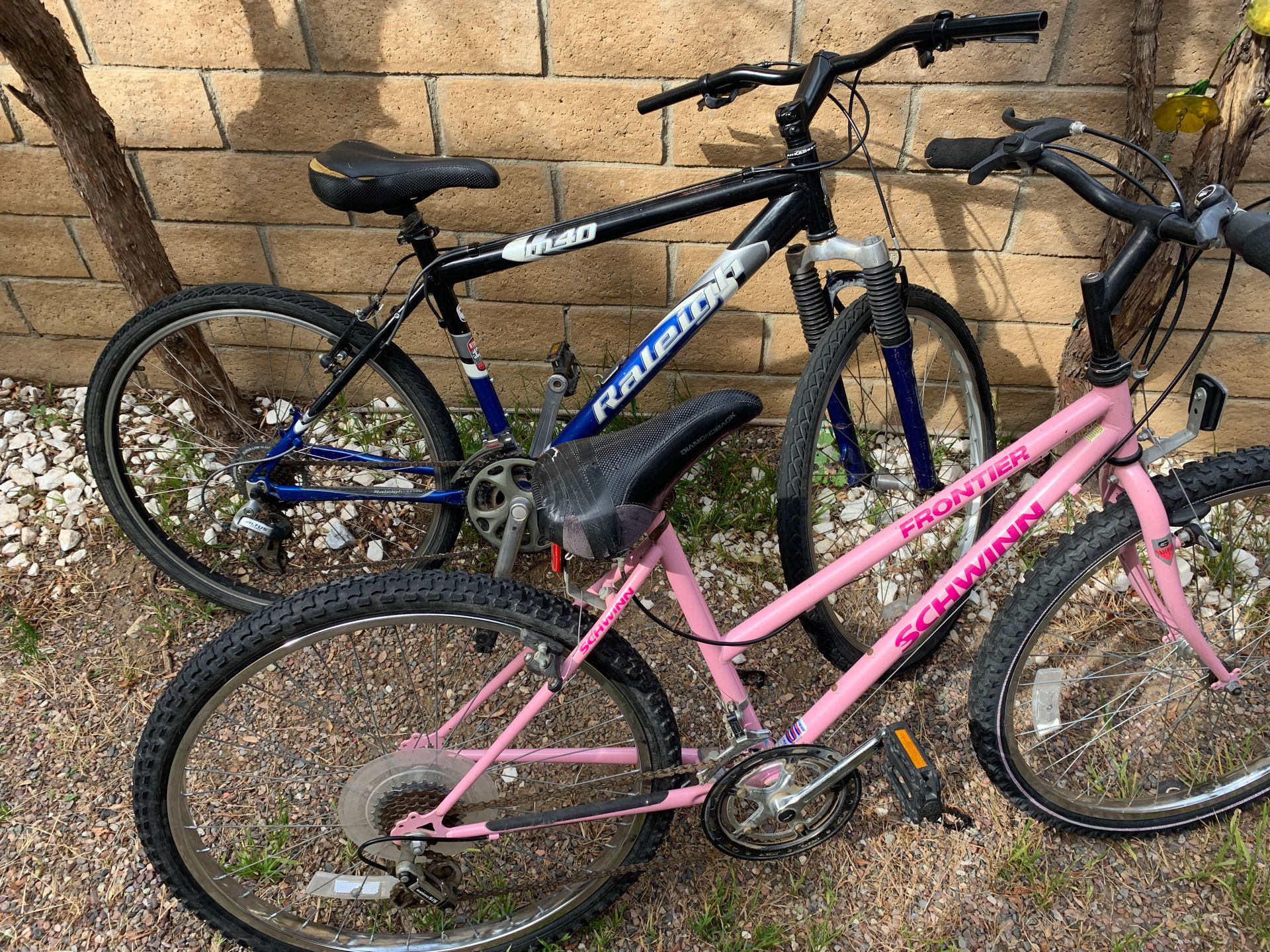 Both bikes for $120
