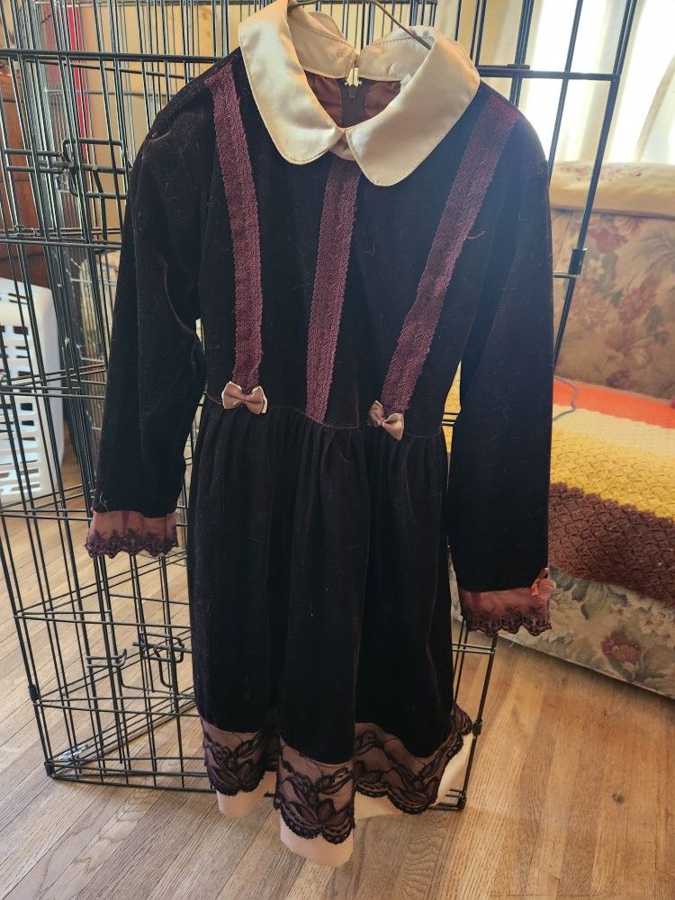 Beautiful Girl's Velvet Dress