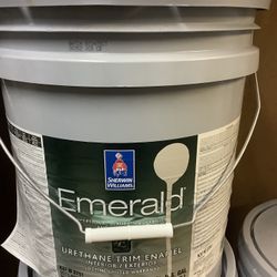 Exterior Urethane Enamel Paint (La Paloma Gray)