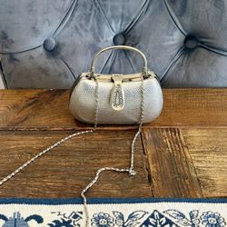 Silver Dinner Purse