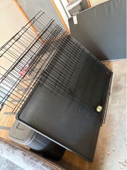 Giant dog supplies