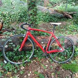 Specialized Racing Bike