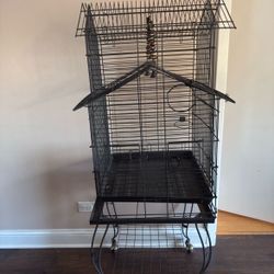 Bird Cage 