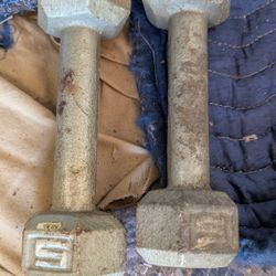 2) 5lb Weights 5 Pound Dumbbell Weight Pair 