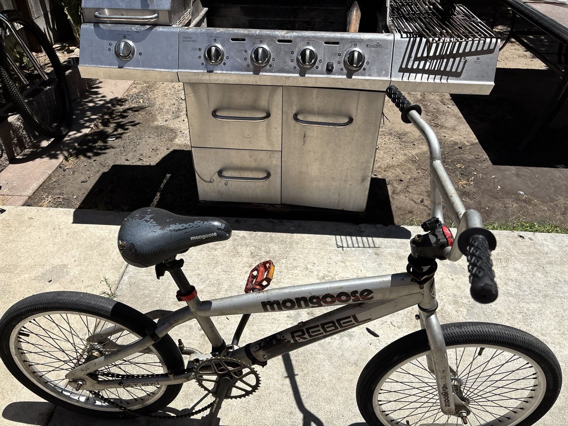 Mongoose 20 Inch Bike
