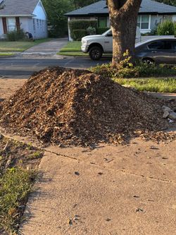 FREE: Wood Chips