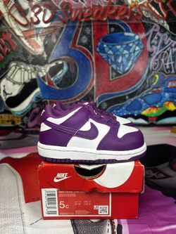 Nike Dunk “Viotech”
