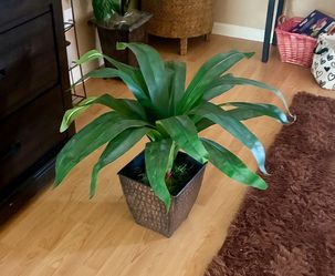 28” Tall Artificial Dracaena Plant features vibrant green, sword-shaped leaves in a square black pot