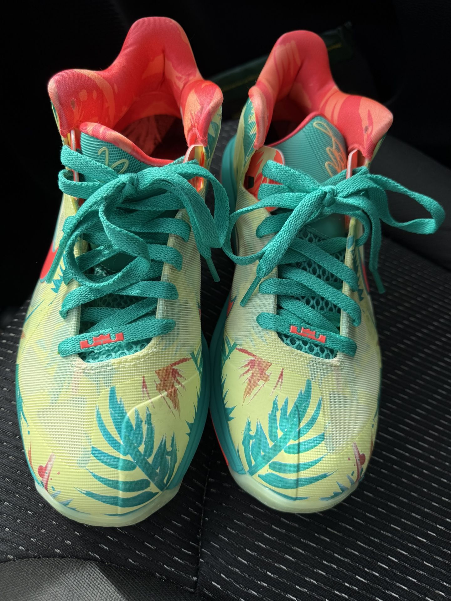 LeBron 9 Low