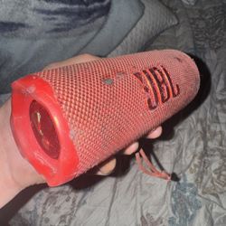 Jbl Flip 6 