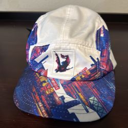 Disney Park Spider Man into Spider Verse