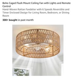 Boho Caged Flush Mount Ceiling Fan with Lights and Remote Control