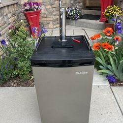 Kegerator Single Tap