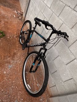 Adult Bike