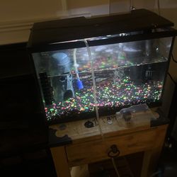 10 gallon fish tank