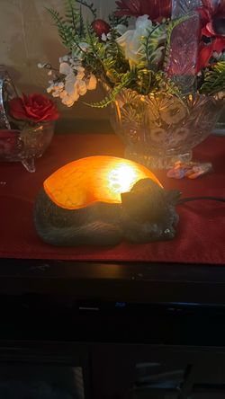 Adorable little kitty sleeping kitty at lights up a little nightlight