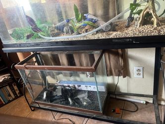 Small fish tank