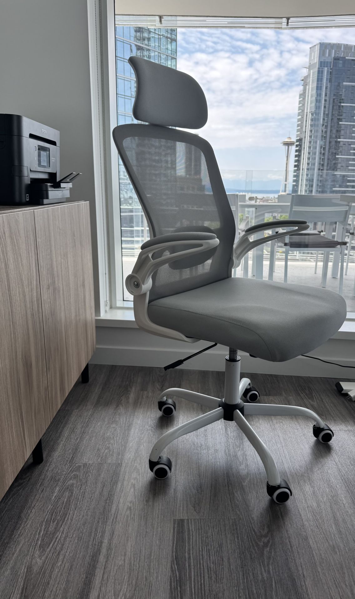 Ergonomic Desk/Office Chair