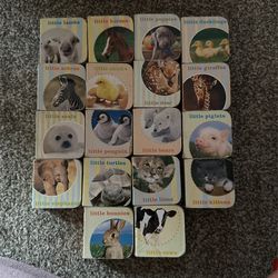 Mini Animal Books With Box