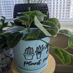 New Ceramic Pot
