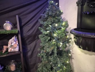 2. Christmas 🎄 trees  50$ each