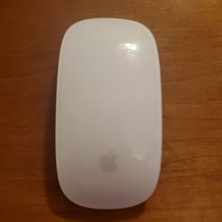 Magic Mouse 2 