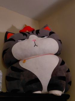 Stuffed animal cat